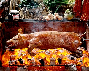 Roasted Suckling Pork