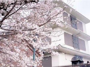 スクリーンショット-2024-05-09-8.19.31