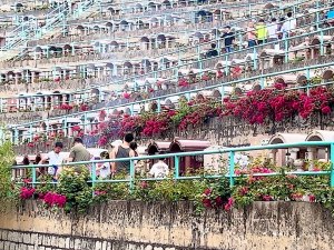 お墓参りの様子