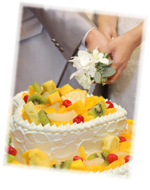 �k���_�b�N�J�b�g